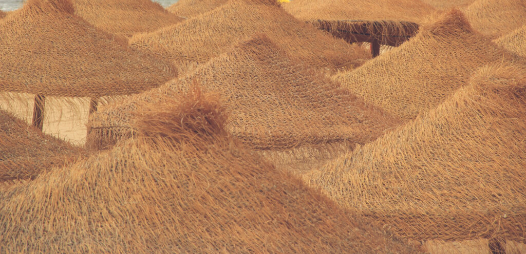 wassilatougroup valeurs afrique / senegal wassilatougroup valeurs afrique / senegal