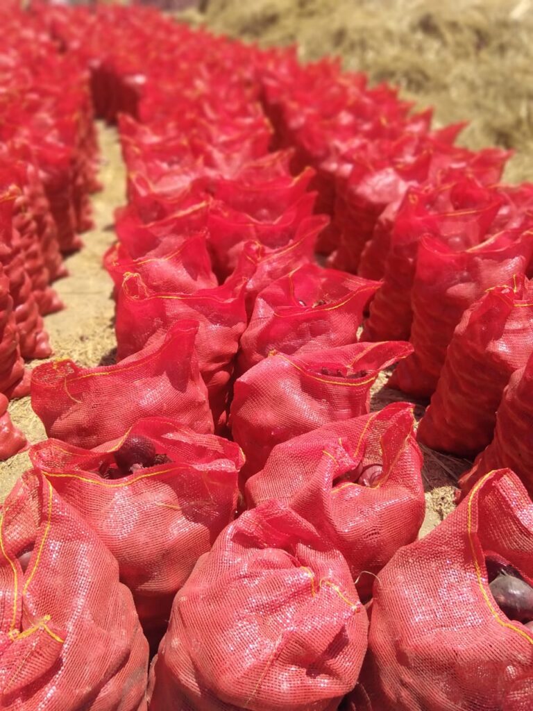 wassilatou agro Business