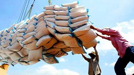 import export wassilatou groupe import export wassilatou groupe